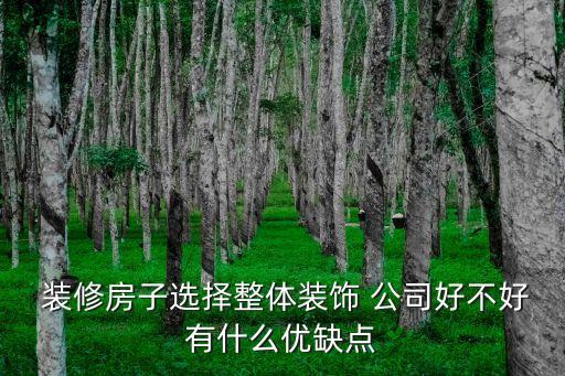 找裝修公司整裝劃算嗎