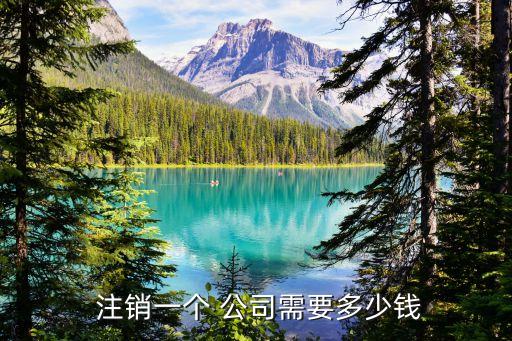 注銷公司多少費用,100萬的公司注銷要多少錢