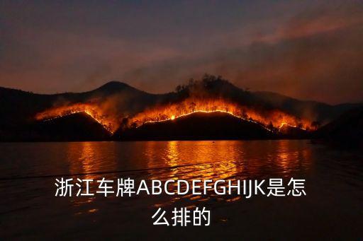 嘉興車牌號字母,浙a88888邁巴赫是誰的