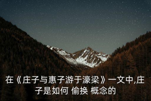 偷換概念