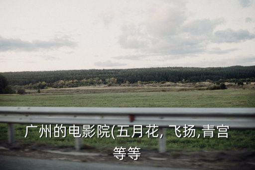 飛揚影城,平昌縣萬達飛揚影城