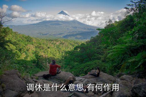 調(diào)休假是啥意思,半天調(diào)休假什么意思