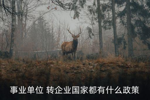 事業(yè)單位 轉(zhuǎn)企業(yè)國家都有什么政策