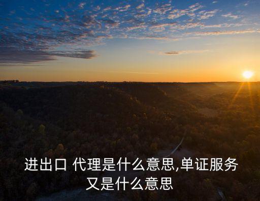 進(jìn)出口代理,外貿(mào)公司進(jìn)出口代理