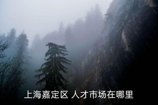 上海市人才服務(wù)中心
