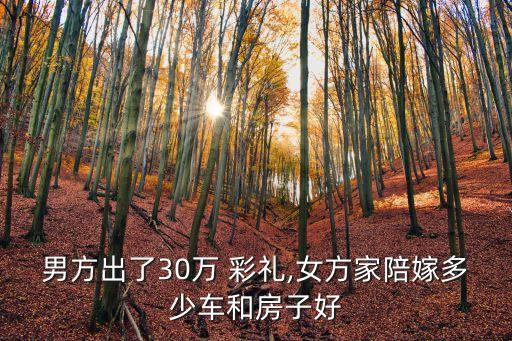 30萬彩禮,二婚女友要求30萬彩禮