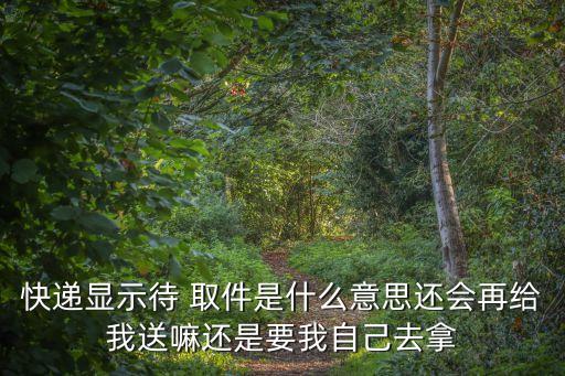 快遞顯示待 取件是什么意思還會(huì)再給我送嘛還是要我自己去拿