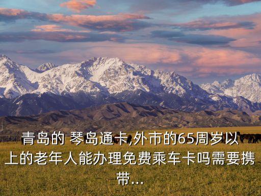 琴島通公交卡