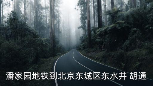 胡通,胡同在線觀看免費(fèi)觀看