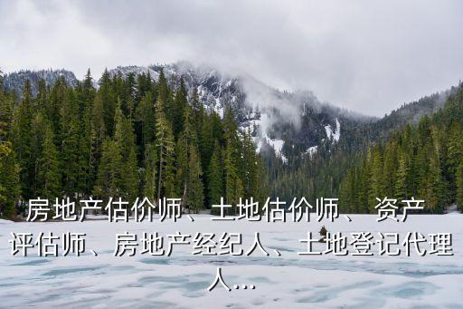 房地產(chǎn)估價師、土地估價師、 資產(chǎn) 評估師、房地產(chǎn)經(jīng)紀(jì)人、土地登記代理人...
