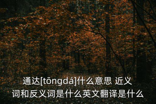 開通的近義詞