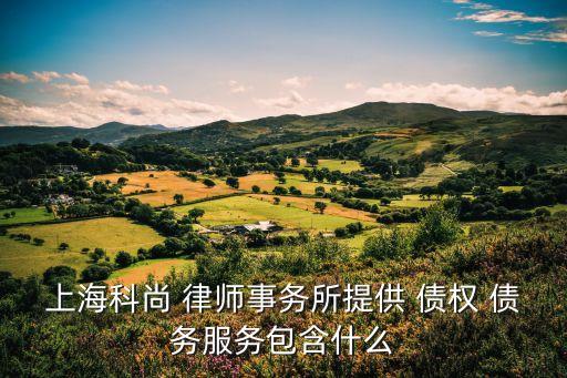 上海科尚 律師事務(wù)所提供 債權(quán) 債務(wù)服務(wù)包含什么