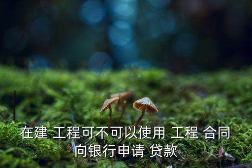 工程合同可以貸款嗎怎么貸