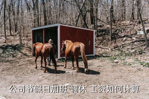 公司節(jié)假日加班 調(diào)休 工資如何計算