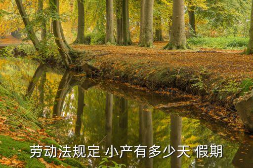 小產(chǎn)假期多少天,國(guó)家規(guī)定小產(chǎn)假期多少天