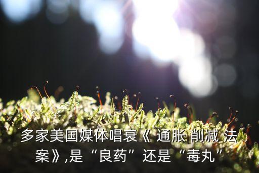 通脹削減法案原文翻譯,美國通脹削減法案對中國影響