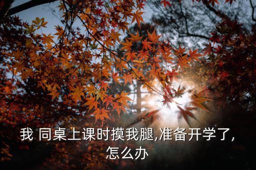 被同桌摸了