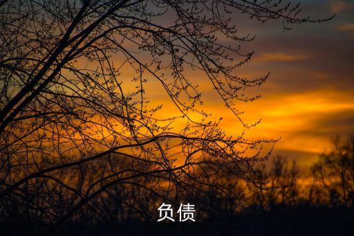 流動負(fù)債