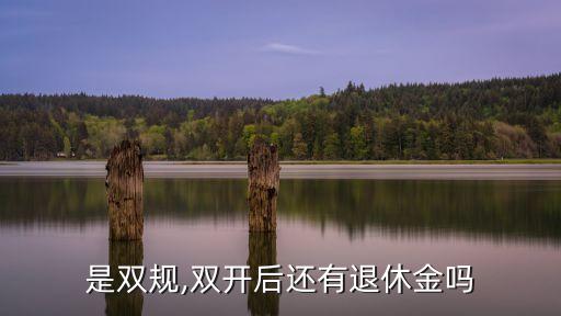 什么是雙規(guī),雙開后還有退休金嗎