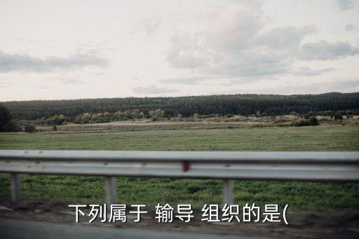 輸導(dǎo)組織