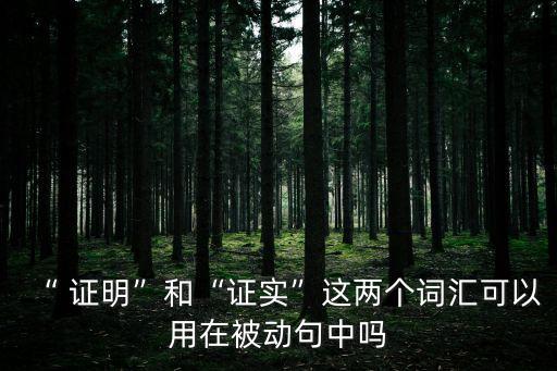 證明的英語動詞,英語動詞大全1000個