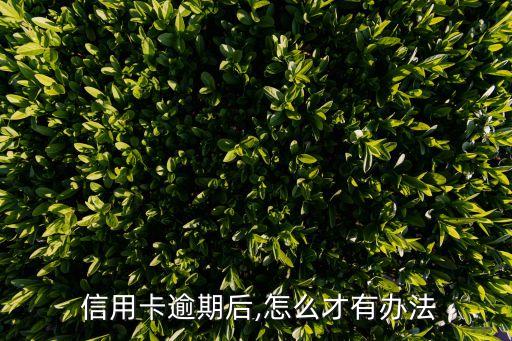 信用咨詢
