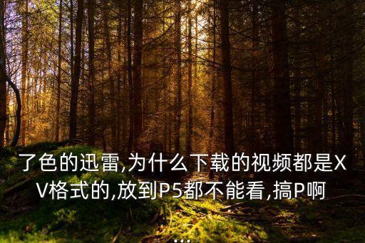了色的迅雷,為什么下載的視頻都是XV格式的,放到P5都不能看,搞P啊...