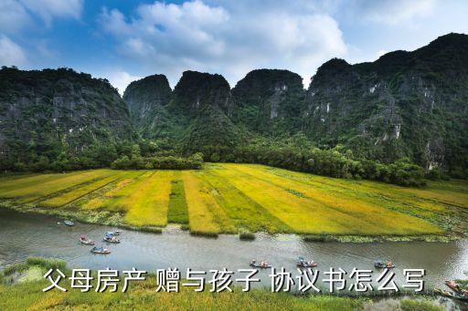 贈(zèng)與協(xié)議書(shū)范本,農(nóng)村宅基地贈(zèng)與協(xié)議書(shū)范本