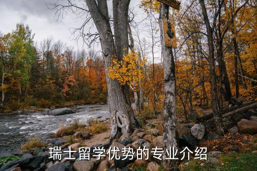 圣加侖大學
