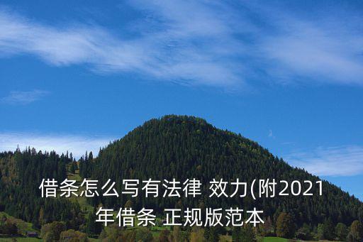 最具法律效力的正規(guī)欠條模板,工資欠條模板 法律效力
