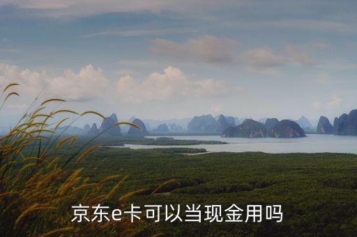 京東e卡可以當(dāng)現(xiàn)金用嗎