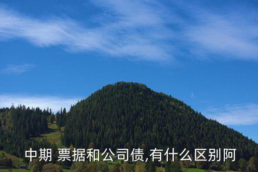 中期票據(jù)