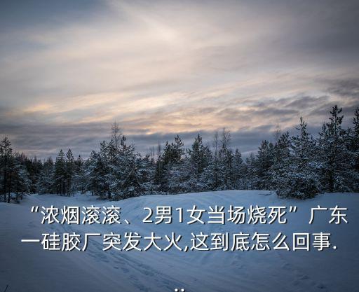 “濃煙滾滾、2男1女當(dāng)場燒死”廣東一硅膠廠突發(fā)大火,這到底怎么回事...