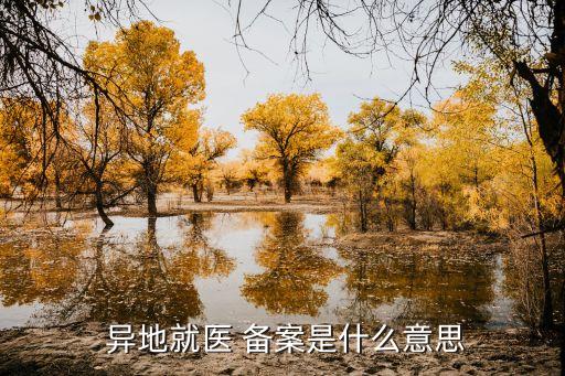 異地備案