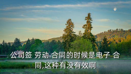 電子版勞動(dòng)合同有效嗎