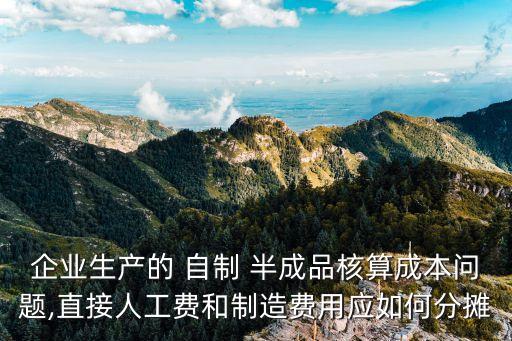 自制半成品