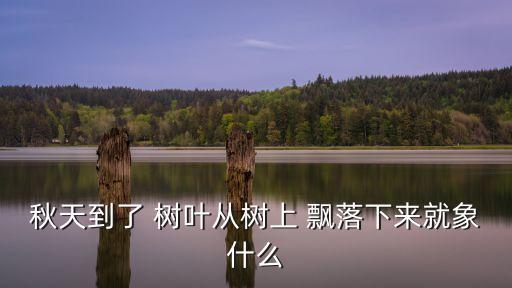 飄落的樹(shù)葉像什么,樹(shù)上飄落的樹(shù)葉像什么
