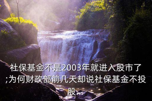王保安