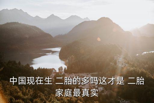 生二胎