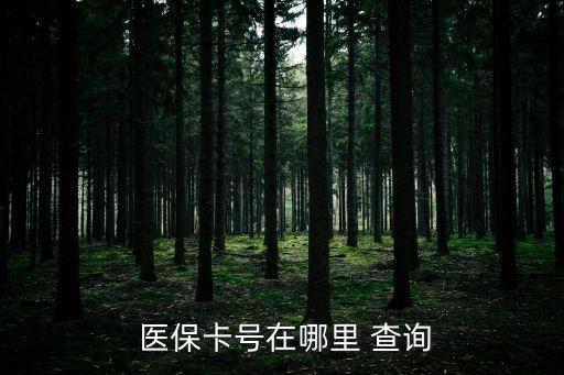 醫(yī)保編號(hào)怎么查詢,單位醫(yī)保編號(hào)怎么查詢