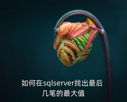 后幾筆