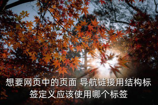 xXx導(dǎo)航,藍(lán)鳥導(dǎo)航
