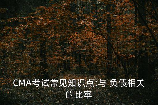 負(fù)債權(quán)益比,根據(jù)有稅mm命題,提高負(fù)債權(quán)益比
