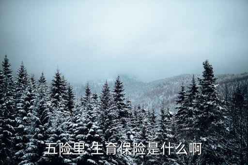 生育保險是什么意思,做試管可以用醫(yī)保報銷多少