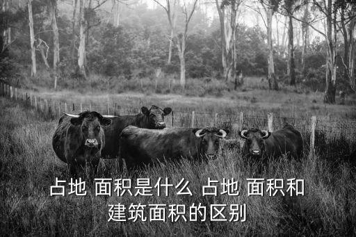 占地面積和建筑面積的區(qū)別,學校占地面積和建筑面積的區(qū)別