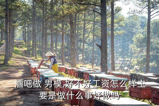  酒吧做 男模,好不好工資怎么樣主要是做什么事好做嗎