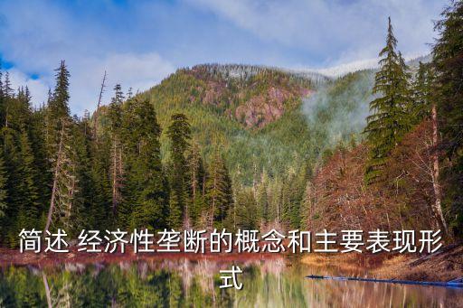 經(jīng)濟性