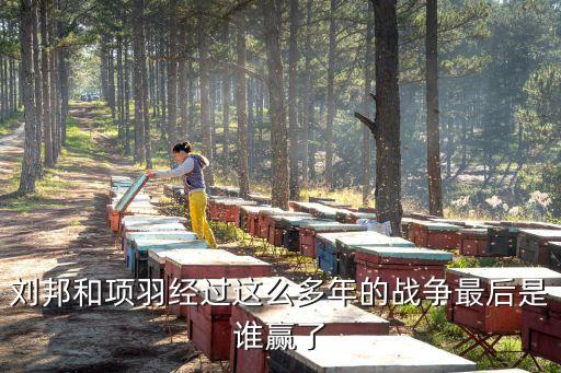 劉贏,劉盈的下一位帝王是誰