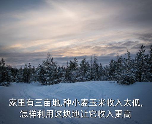 農(nóng)村土地種植什么賺錢,一畝田農(nóng)產(chǎn)品批發(fā)買賣服務(wù)平臺
