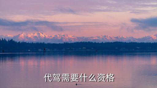 代駕需要什么條件,報名滴滴代駕需要什么條件